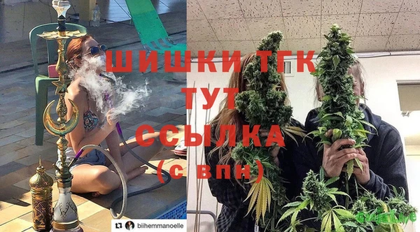 дживик Покров