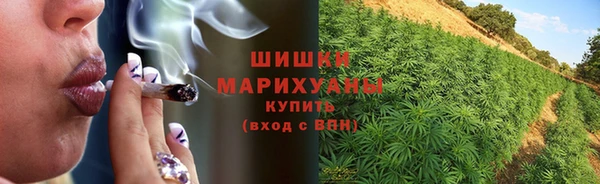 дживик Покров