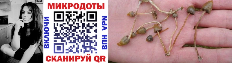 как найти закладки  Короча  Псилоцибиновые грибы мицелий 