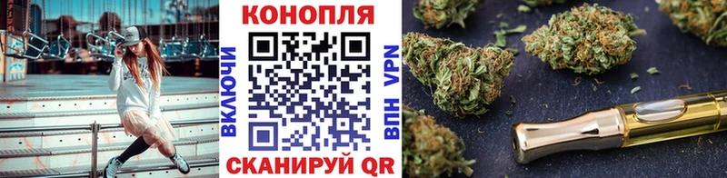 Конопля индика  Короча 